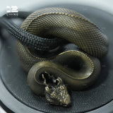 12living Touch-Control Ambient Light with Braided Strap – Snake-Inspired Hanging Design, Rechargeable LED